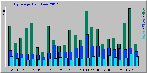 Hourly usage for June 2017